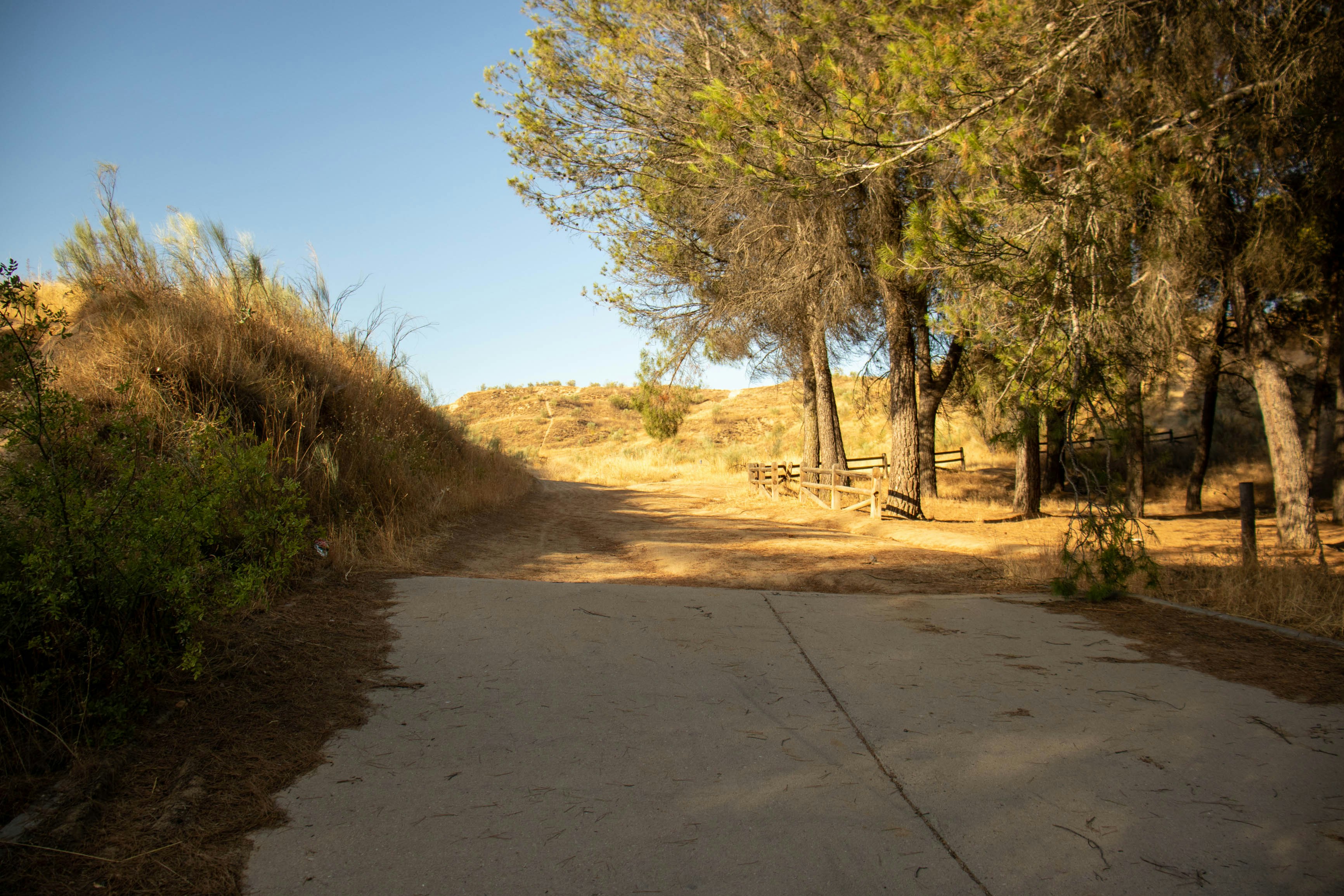 Photo by rubenlosada