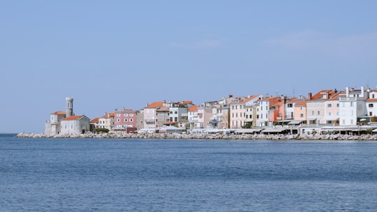 city buildings near body of water during daytime in Piran Slovenia