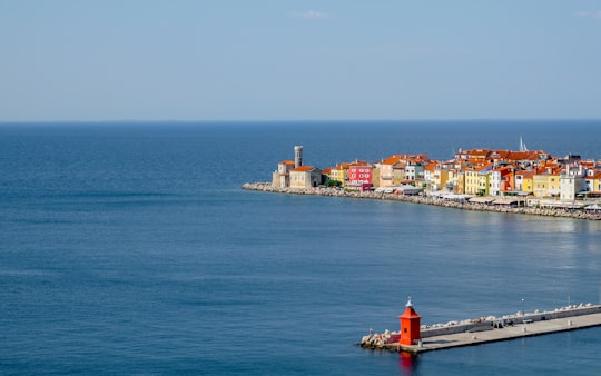 people on boat on sea near city buildings during daytime in Piran Slovenia