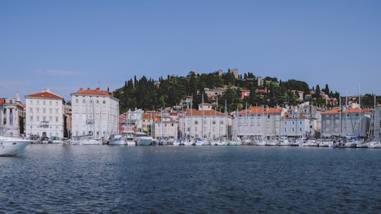 white and brown concrete building beside body of water during daytime in Piran Slovenia