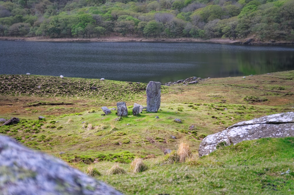 formação rochosa cinzenta no campo de grama verde perto do corpo de água durante o dia