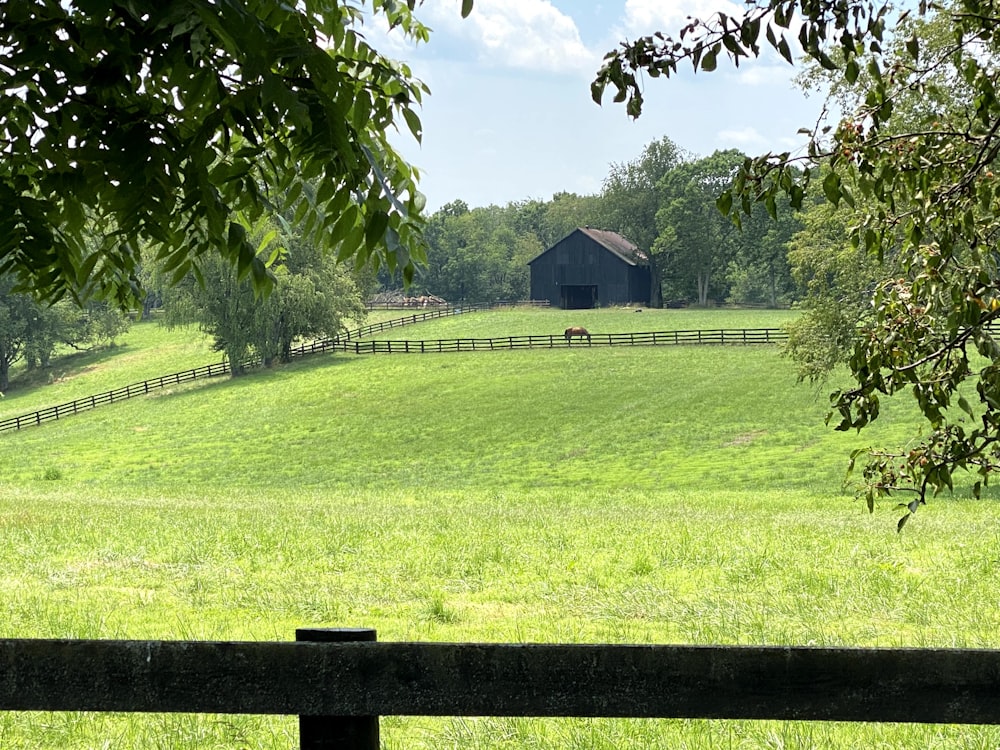 green grass field with brown wooden fence