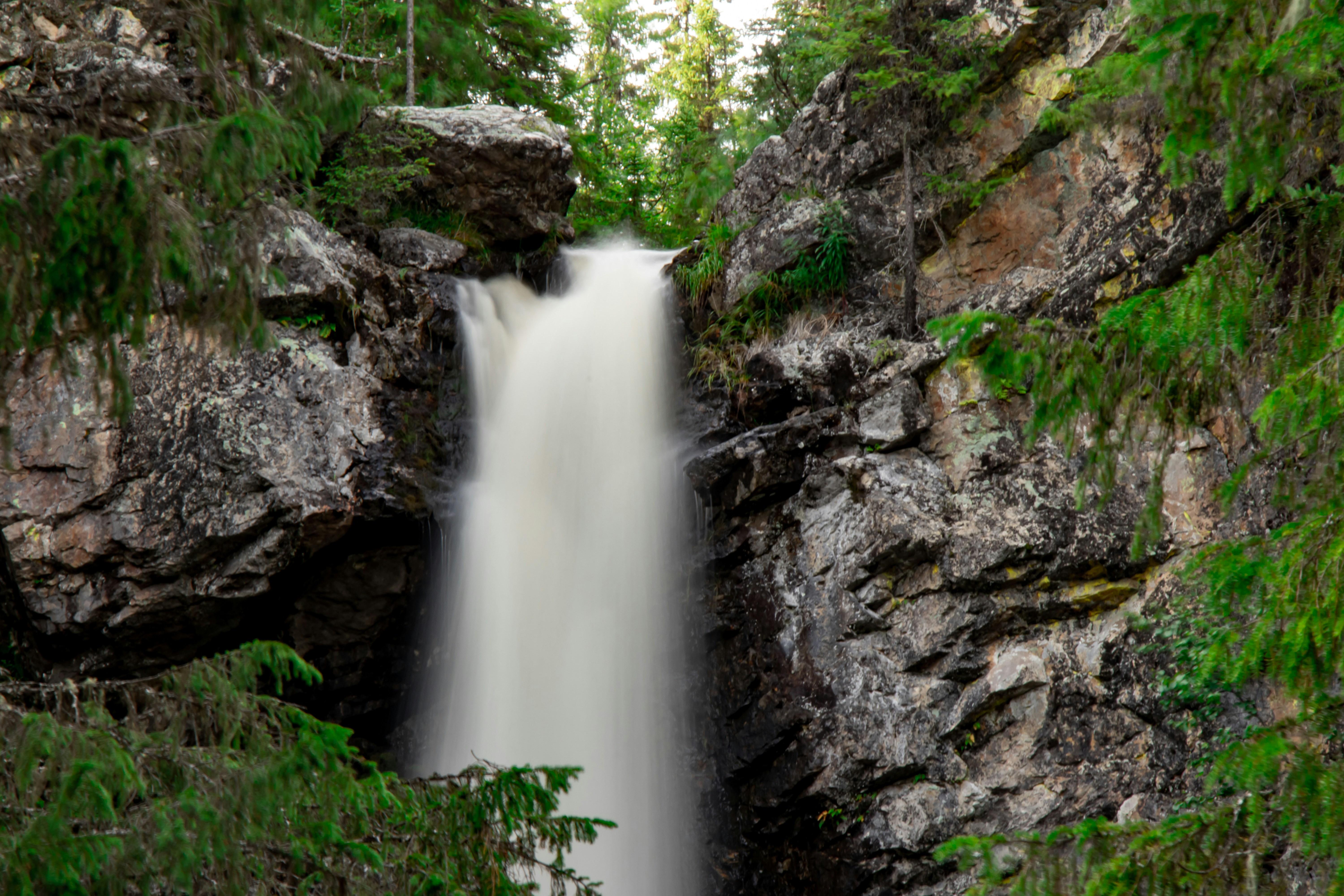 Photo by lassenystedtfoto