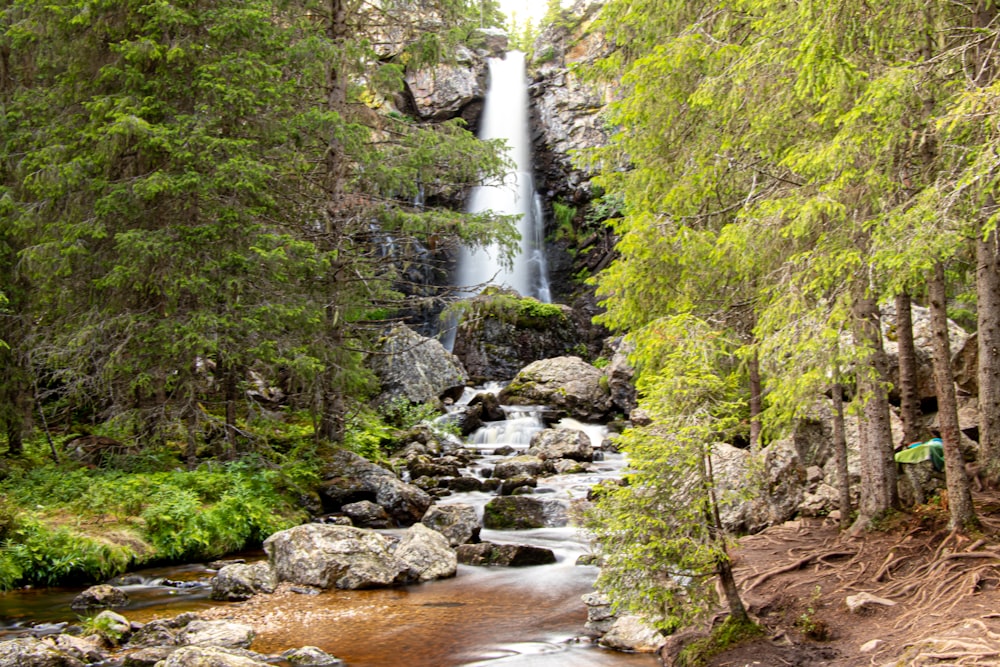 waterfalls in the middle of forest during daytime