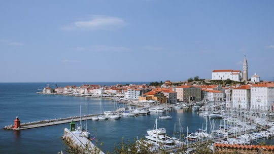 white and brown concrete buildings near body of water during daytime in Piran Slovenia