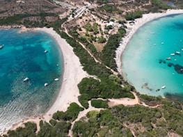aerial view of beach during daytime