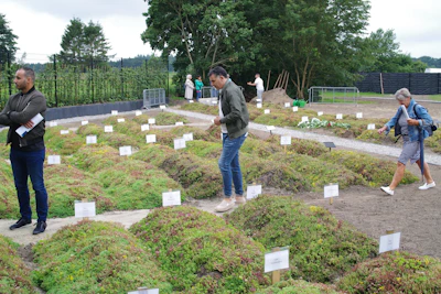 Community garden area with walking paths and native plants.