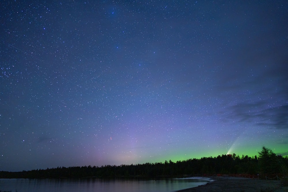 body of water near trees under blue sky during night time