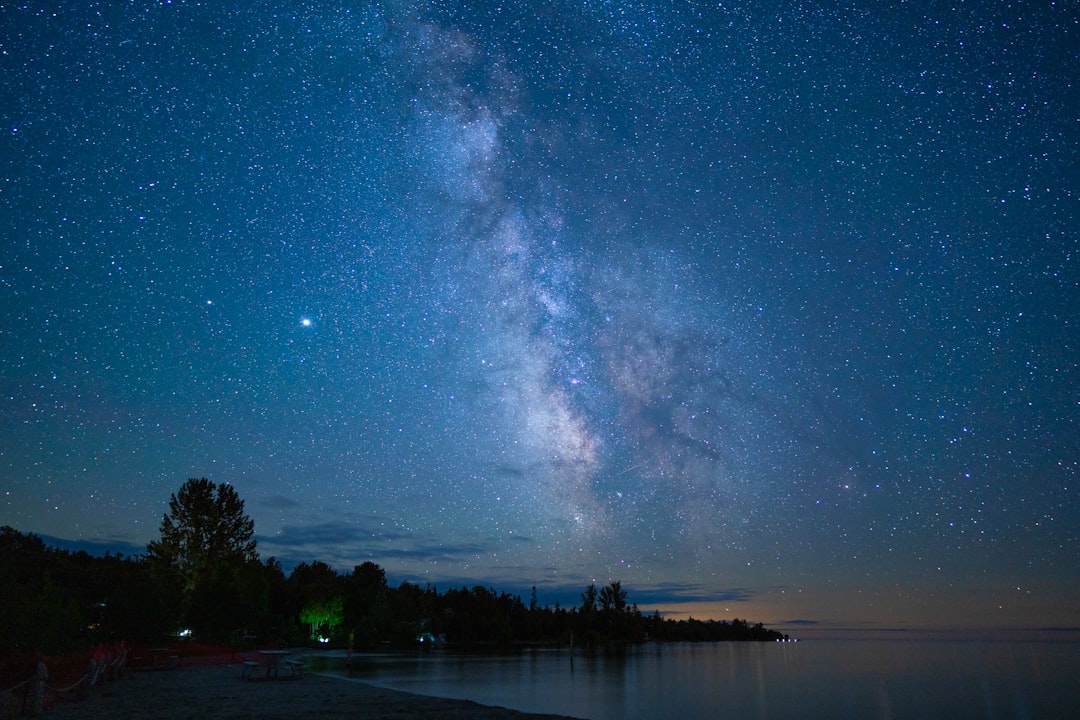 body of water near trees under starry night