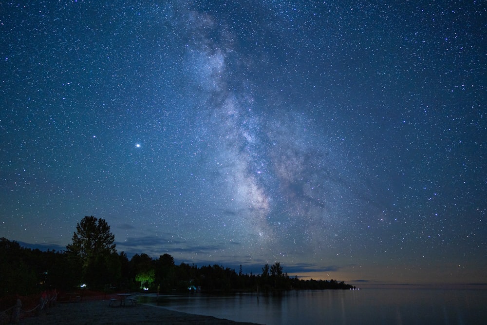 body of water near trees under starry night