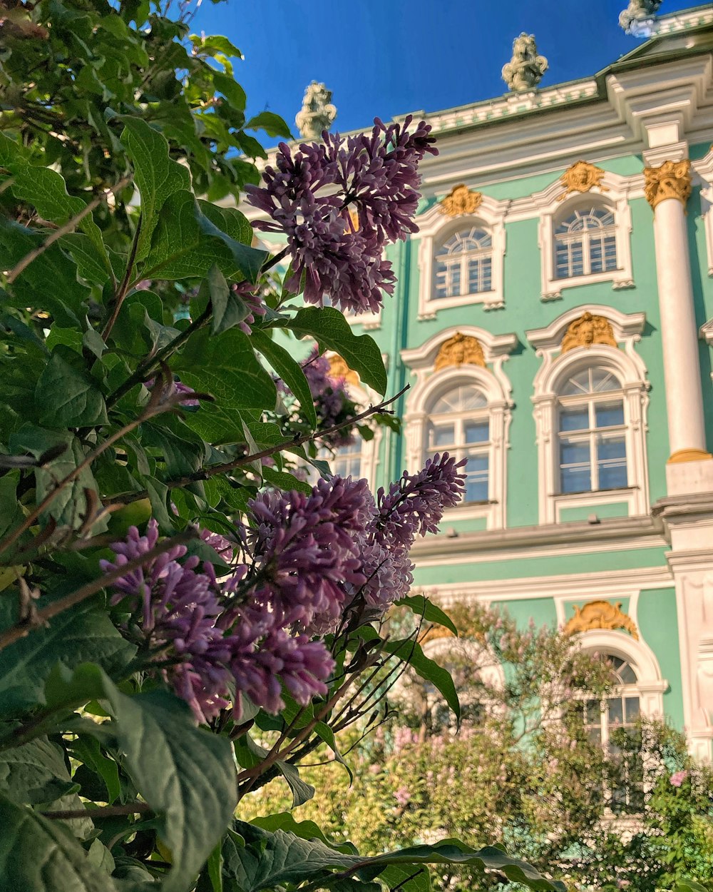 Flores moradas cerca de un edificio de hormigón blanco durante el día