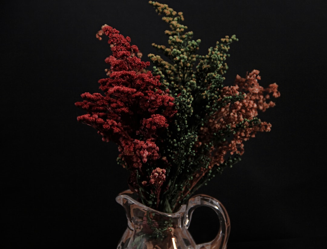 red and green plant on clear glass vase