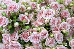 Elegant Bouquet