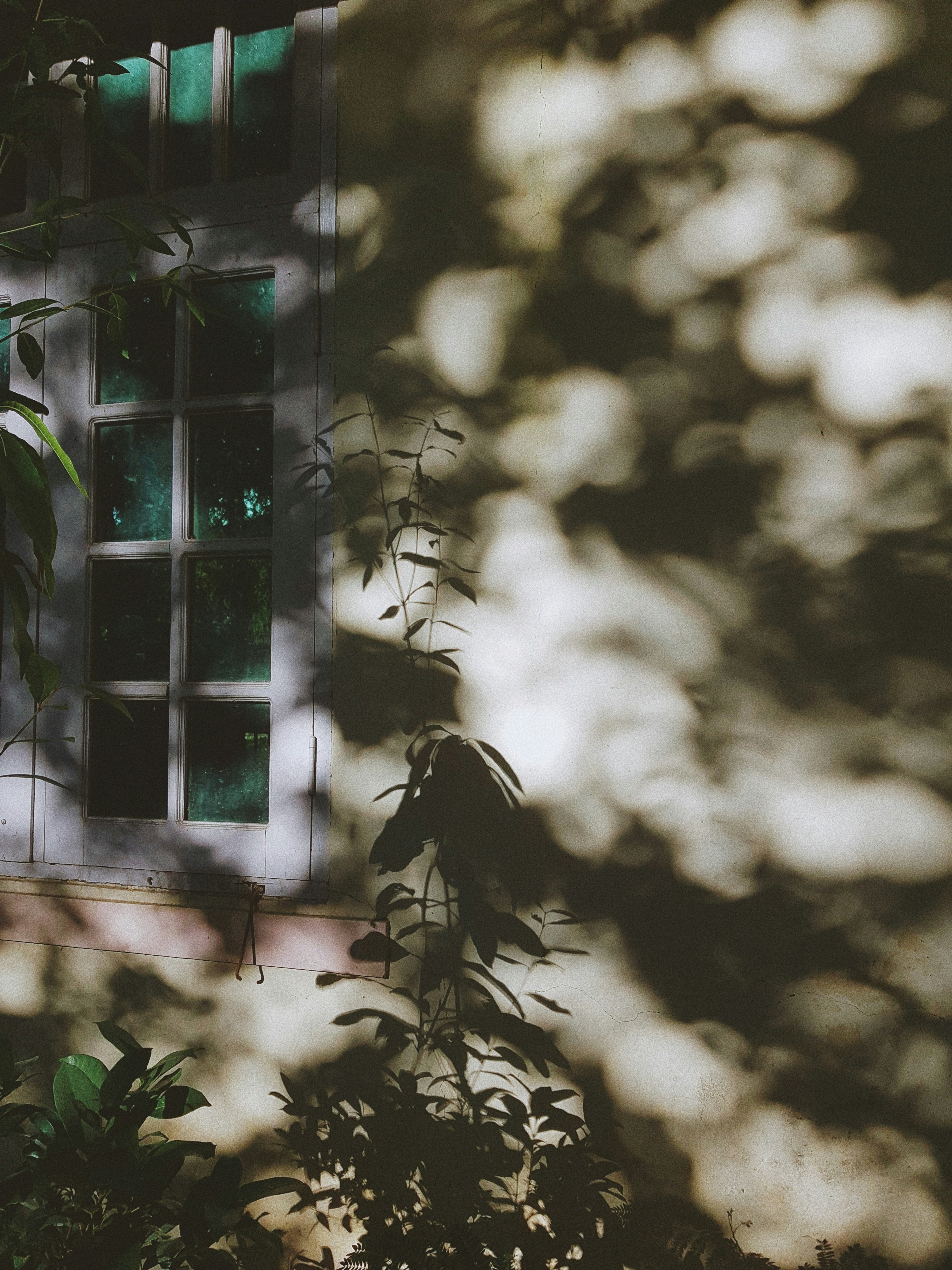 Photo by pineapplexpizza