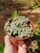 Close-up of a happy woman holding a handmade terrarium filled with lush green plants.