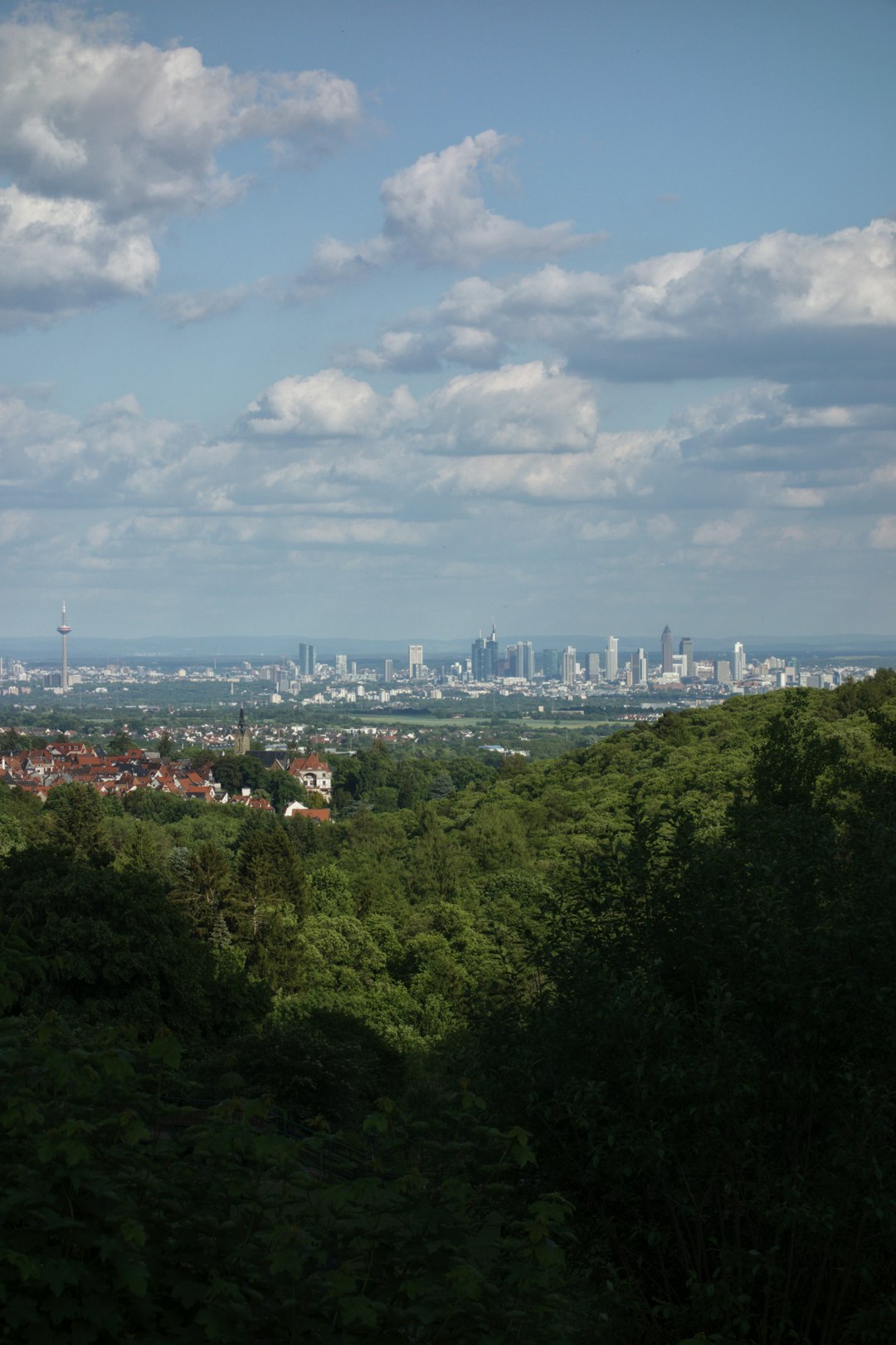 Skyline photo spot Kronberg im Taunus Frankfurt Cathedral