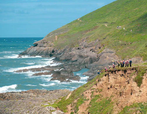 A group of players strategizing together near a coastal cliff in the game.