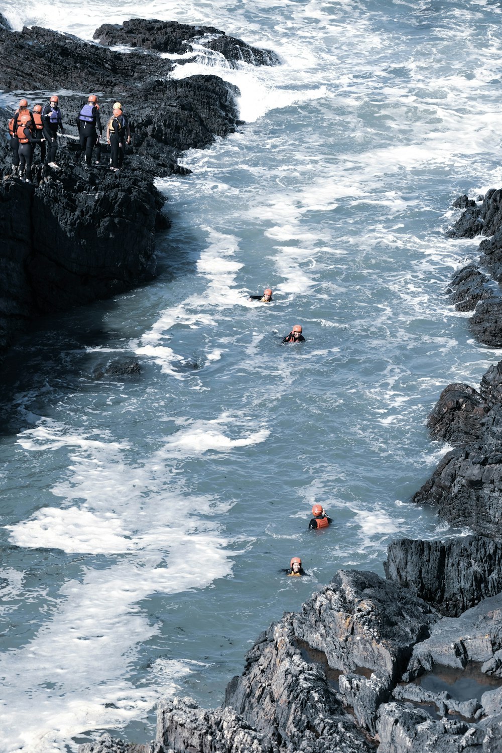 people swimming on sea during daytime