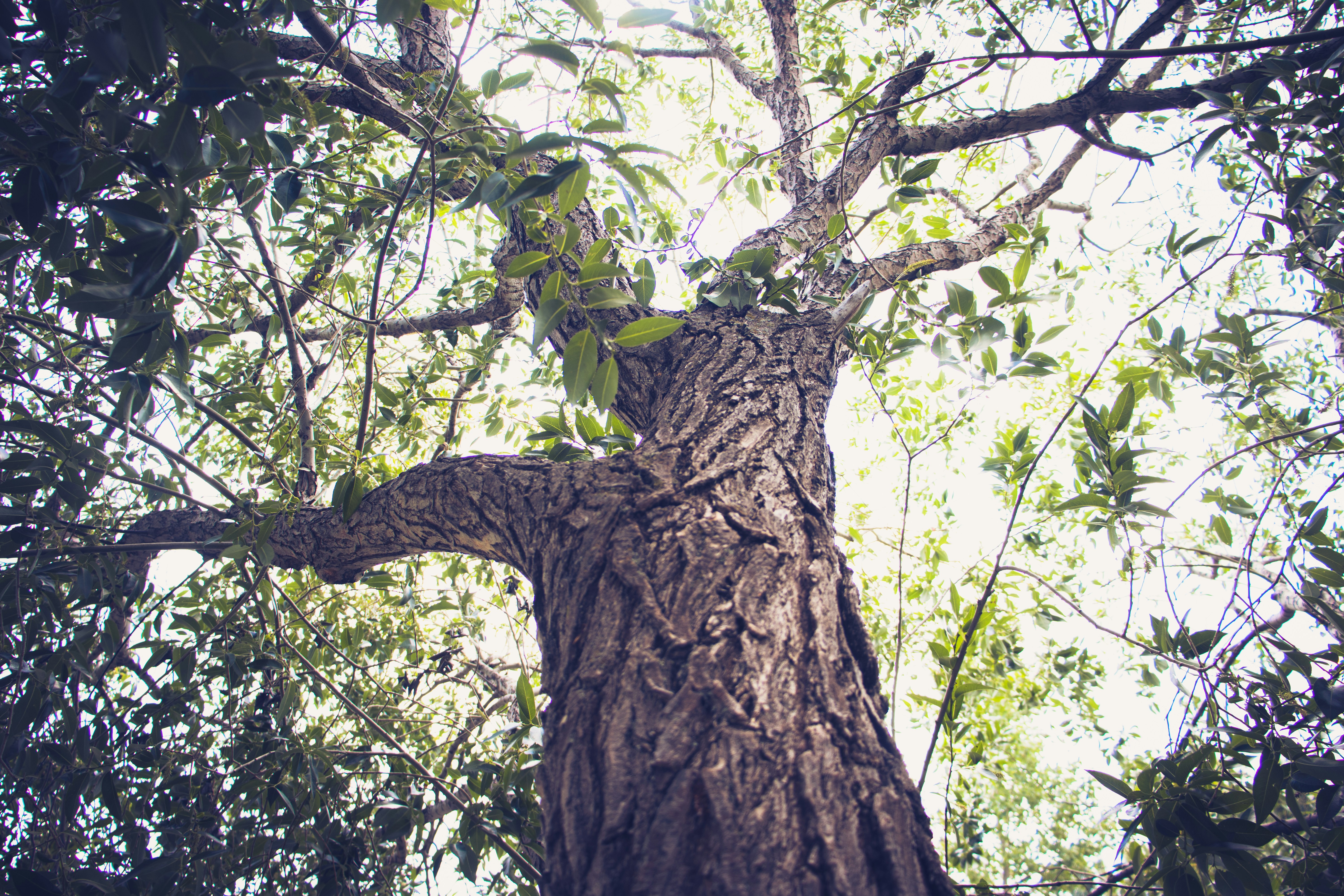 Photo by penda_of_mercia