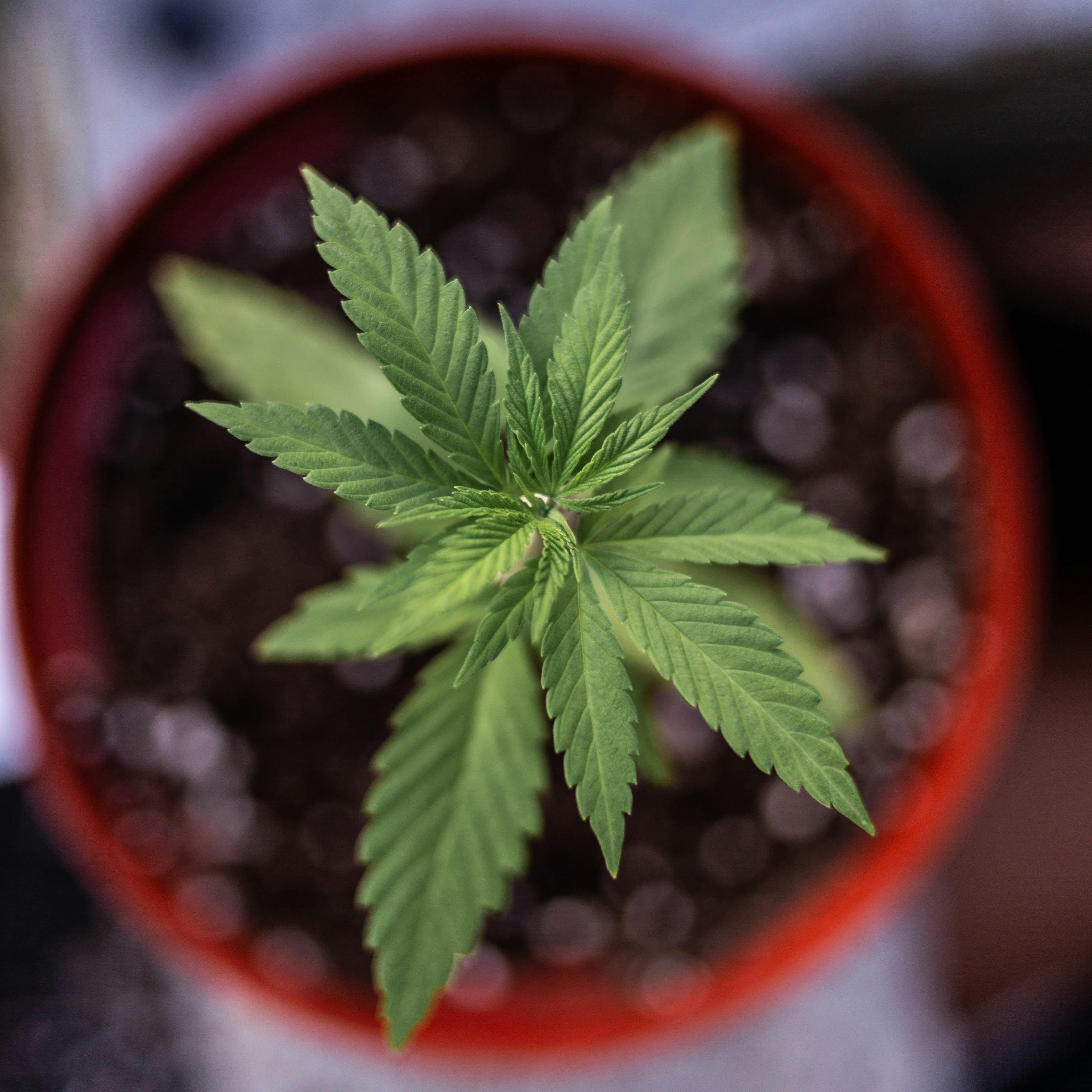 Photo by theshuttervision