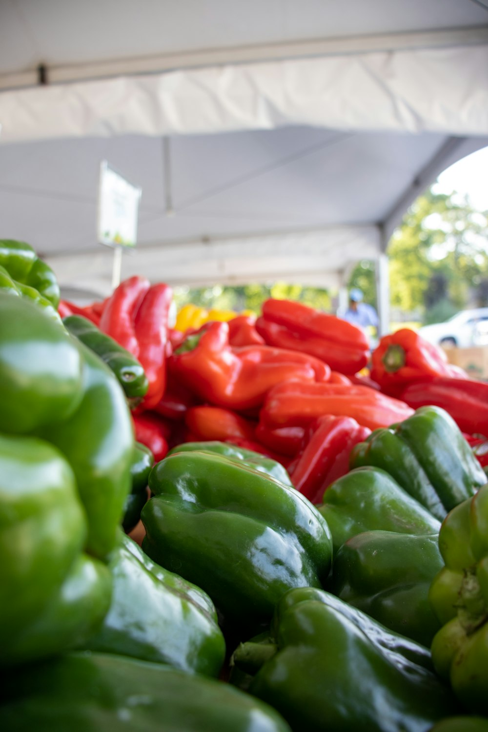 green and red bell peppers