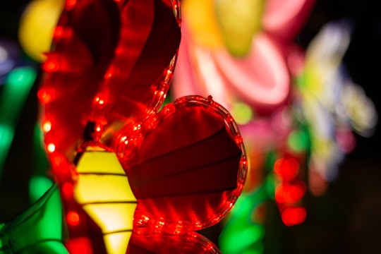 A vibrant display of various LED lighting options.