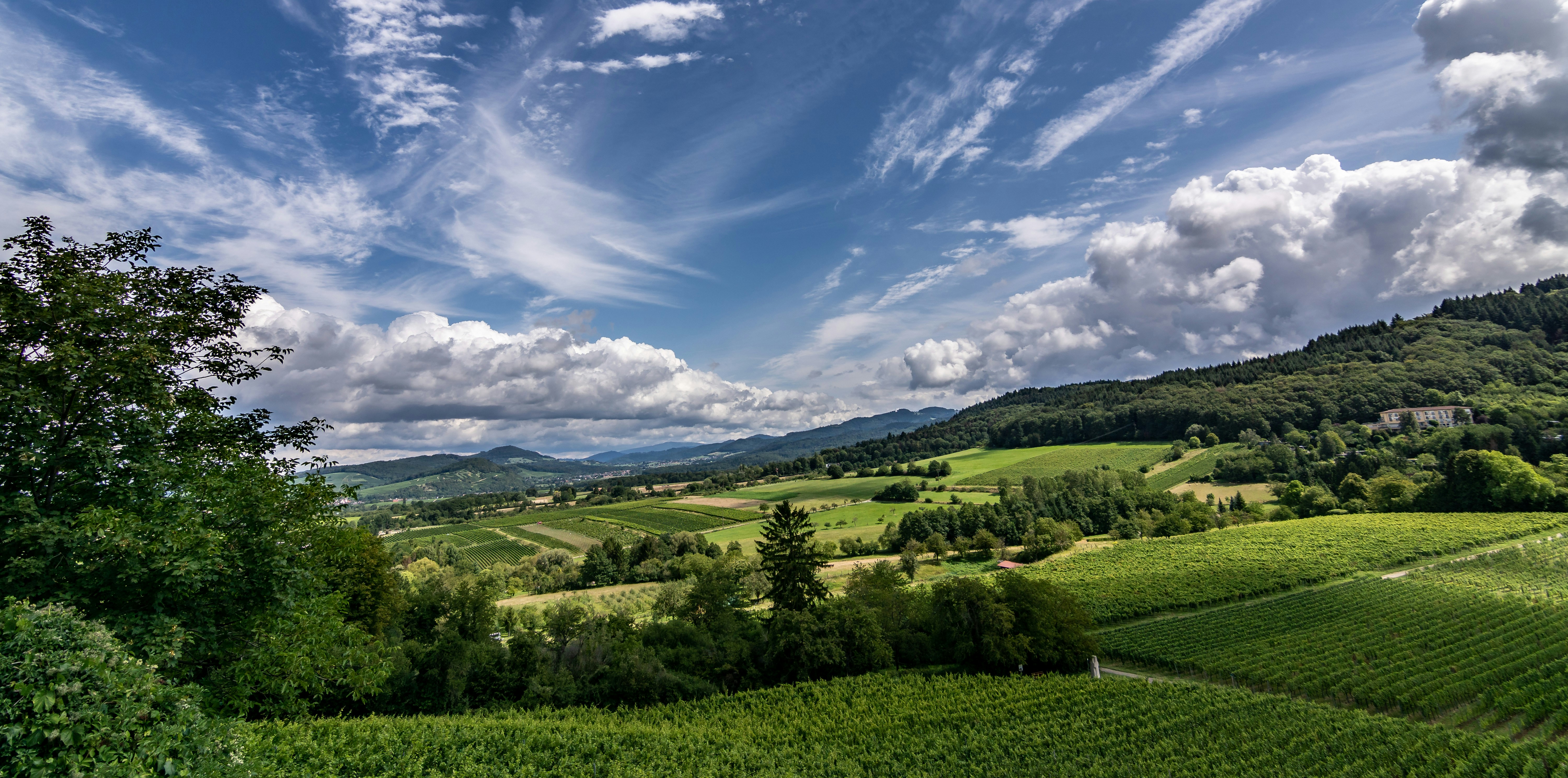Photo by achimr