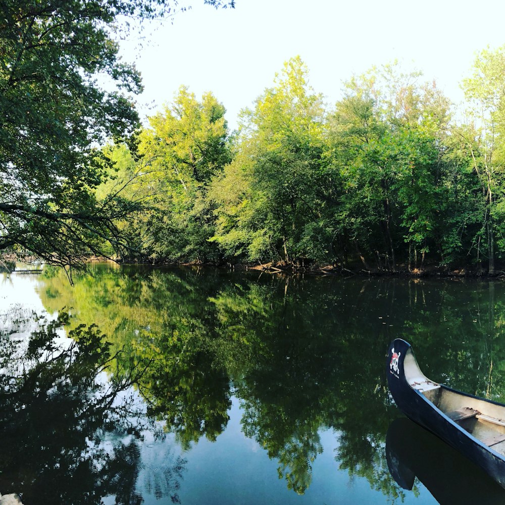 Bote marrón en el lago rodeado de árboles verdes durante el día