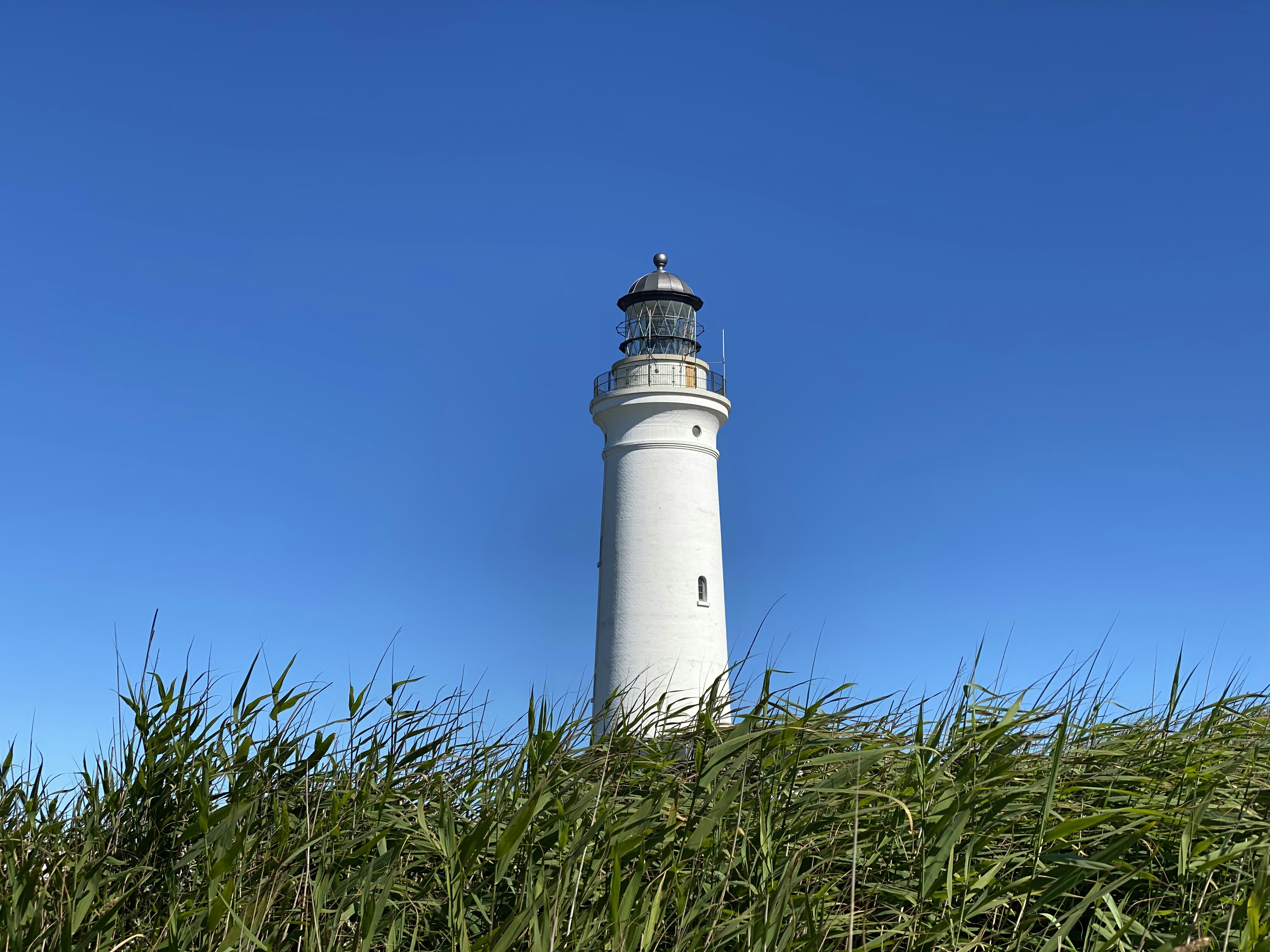 Photo by matthias_patzuda