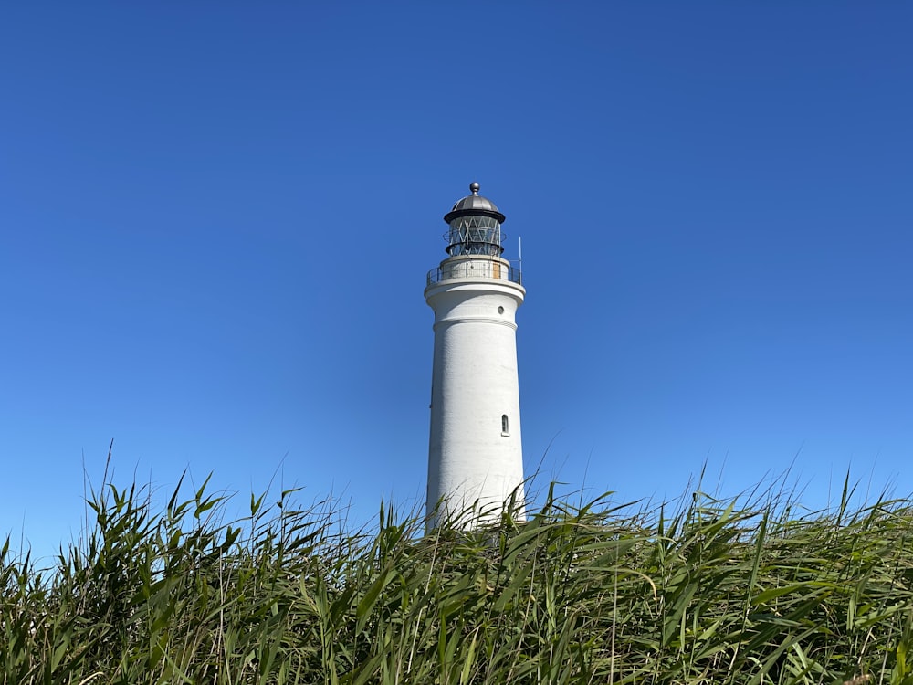 white and black lighthouse under blue sky during daytime