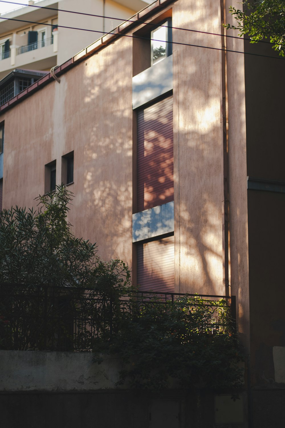 brown concrete building with green plants