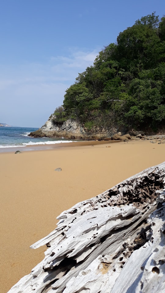 people on beach during daytime in Las Brisas Huatulco Mexico