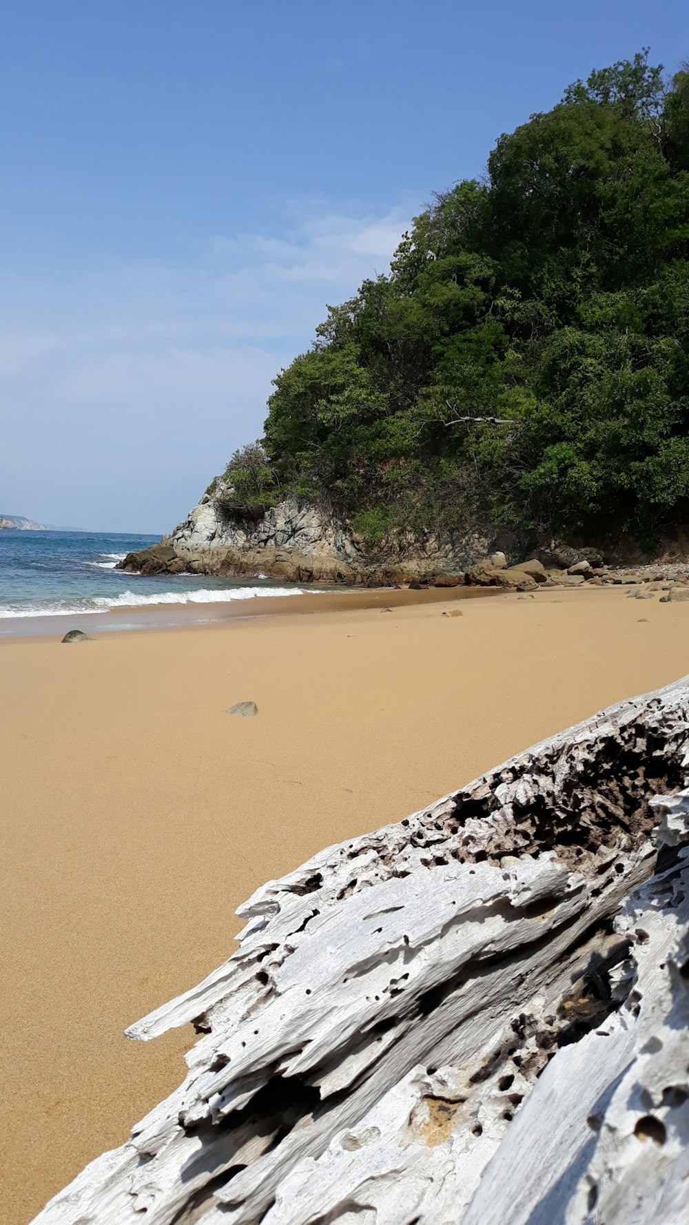 people on beach during daytime