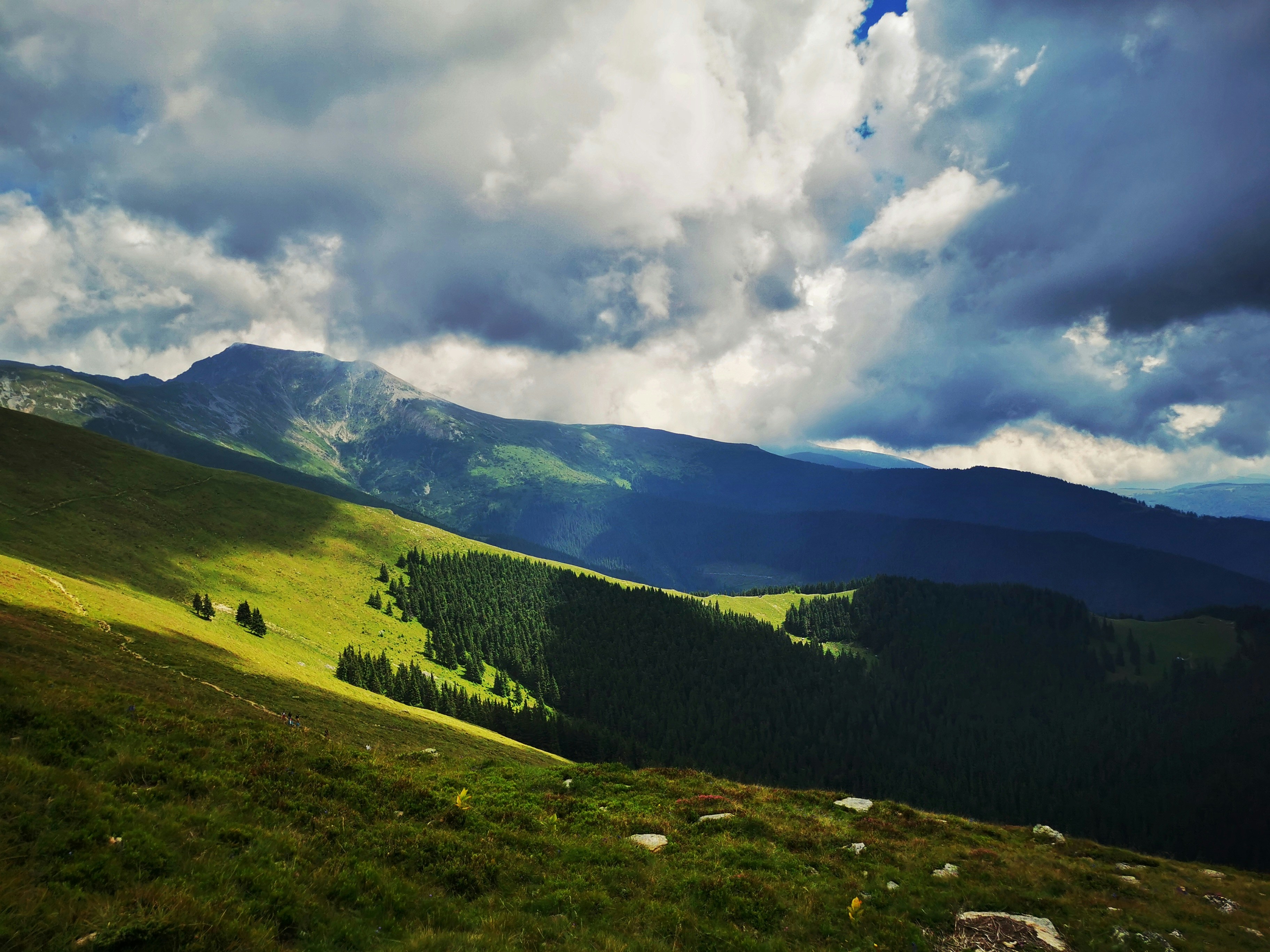 Photo by bostanflorin