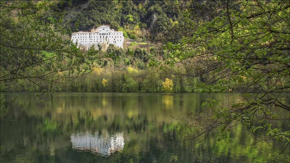 Bâtiment en béton blanc près d’arbres verts et d’un plan d’eau pendant la journée