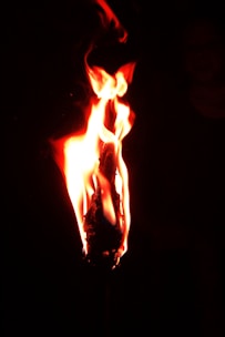 Modern representation of a golden torch illuminating a digital path.