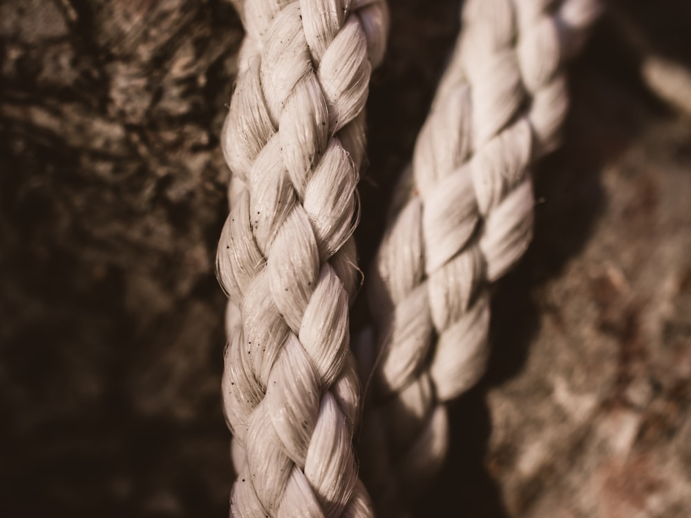 grayscale photo of rope on rock
