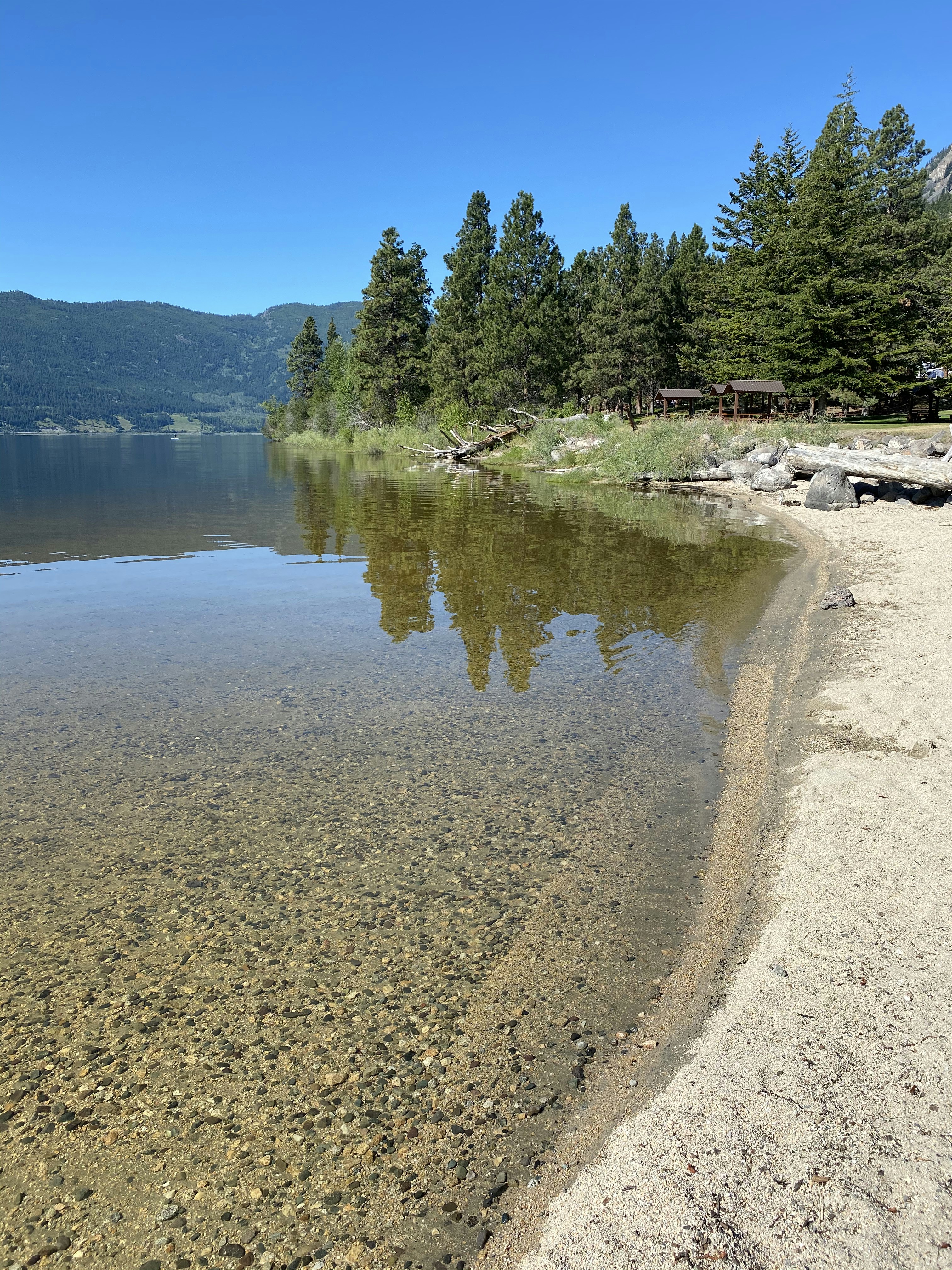 Sandy Lake Tahoe beach with crystal clear blue water and pine trees lining the shore