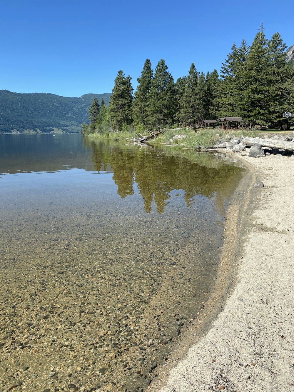 green trees beside lake under blue sky during daytime