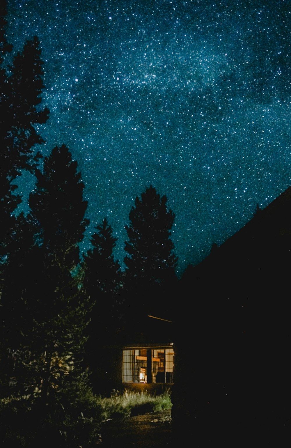 brown wooden house near trees under starry night
