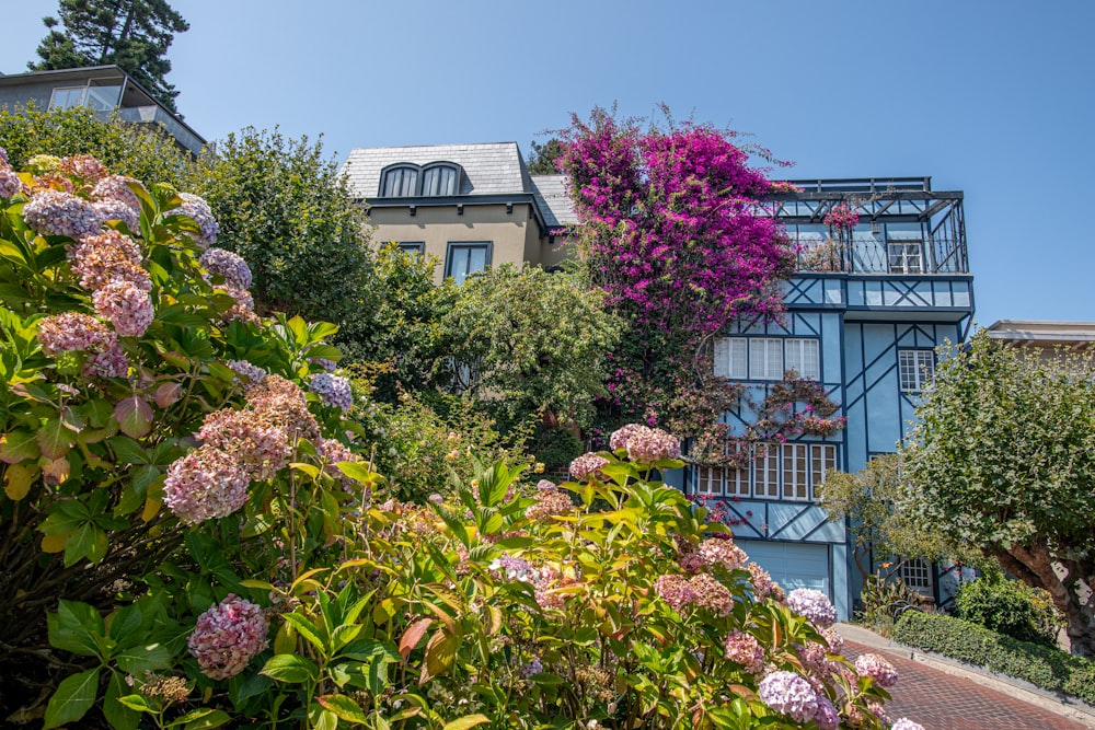 green and purple flower garden