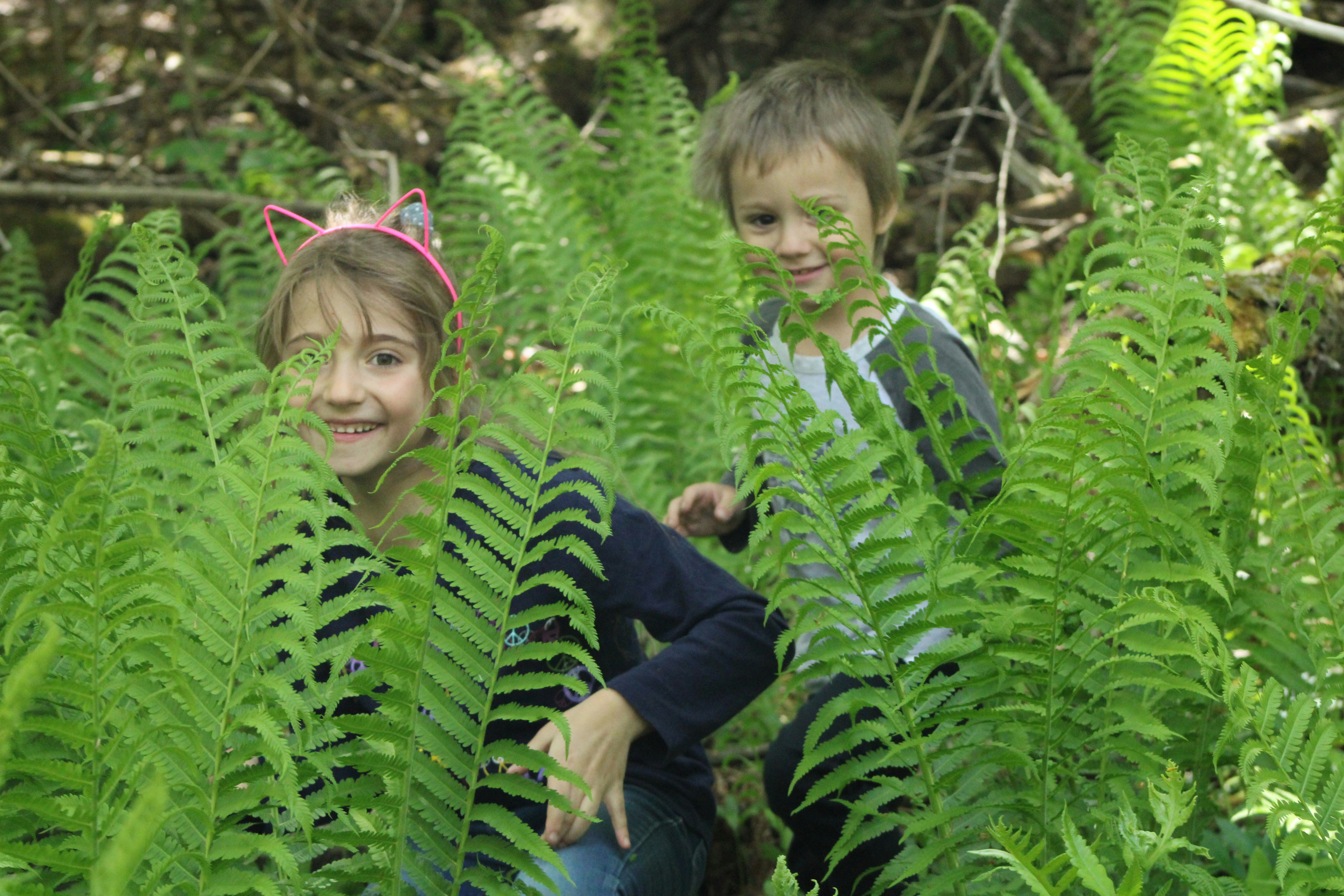 BASF Environmental Education Classroom and Wildlife Habitat