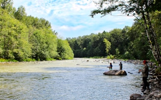 A family of three casting lines into a quiet river surrounded by lush greenery.