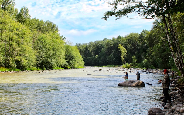 A family of three casting lines into a quiet river surrounded by lush greenery.