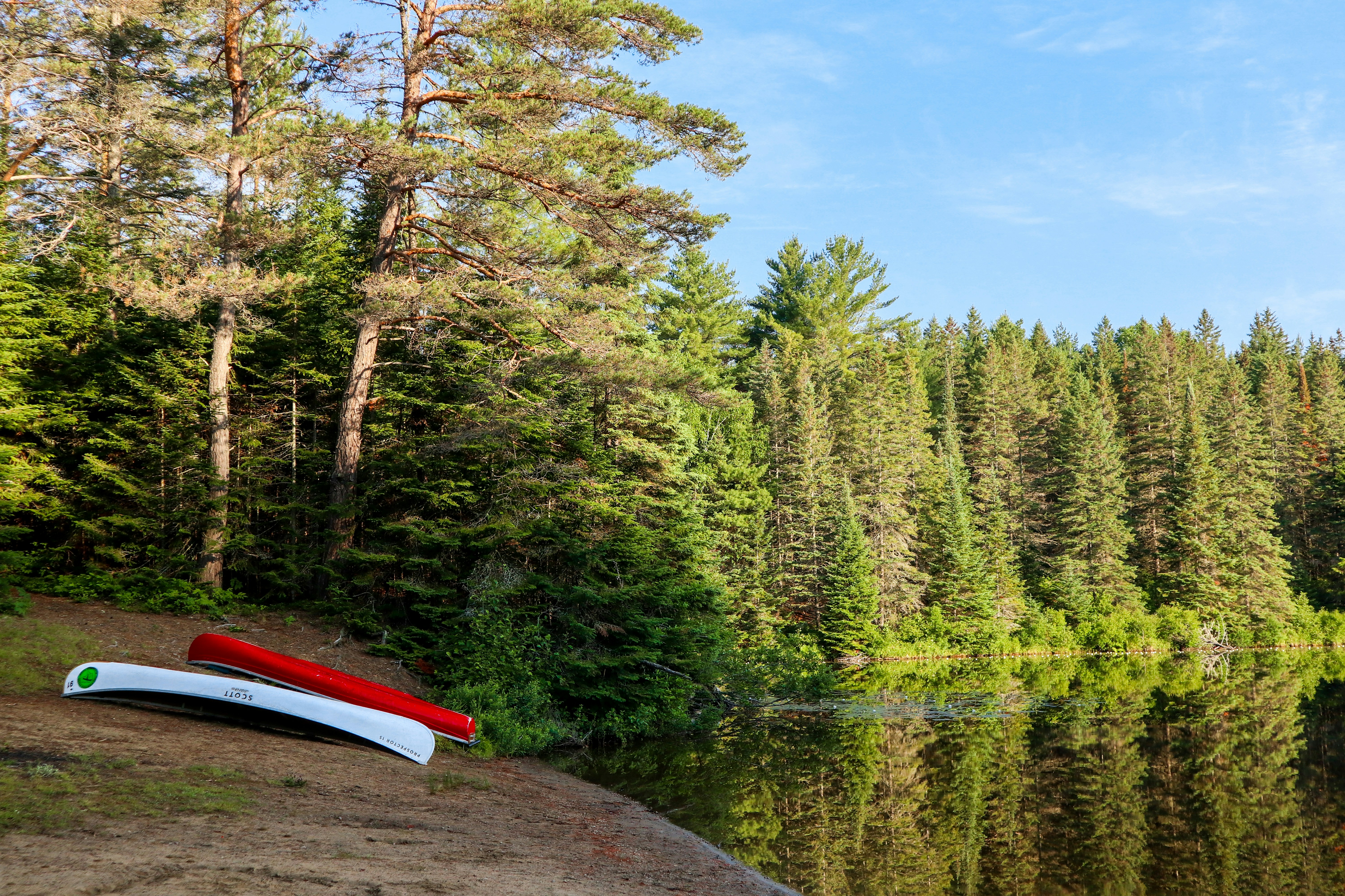 red and white boat on river near green trees during daytime