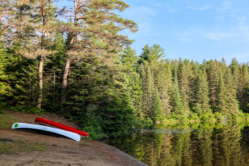 昼間、緑の木々の近くの川に浮かぶ赤と白のボート