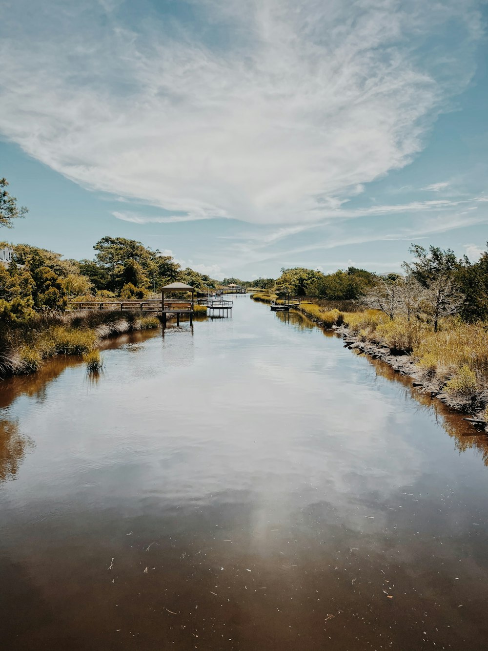 green trees beside river under white clouds and blue sky during daytime