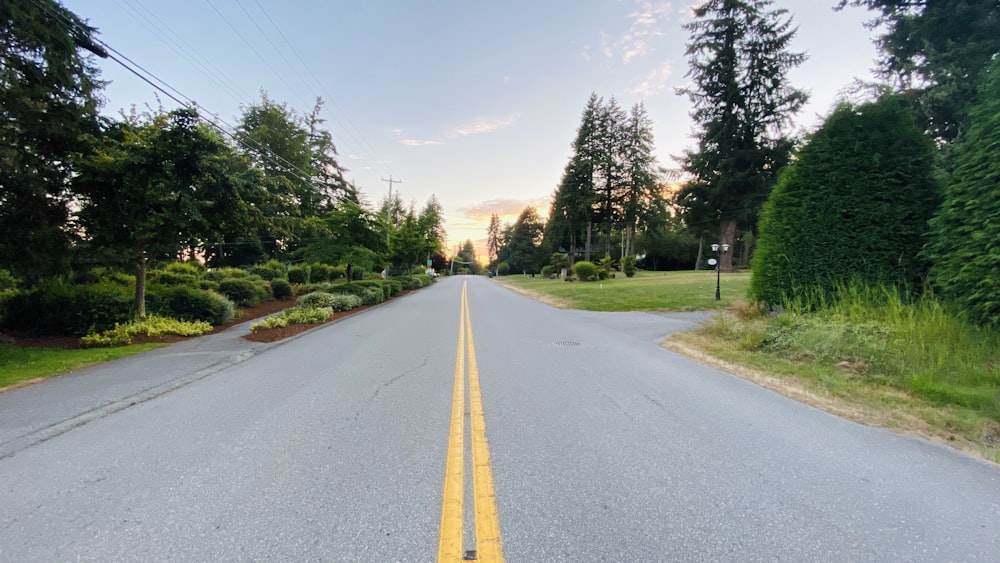 gray concrete road between green trees under blue sky during daytime