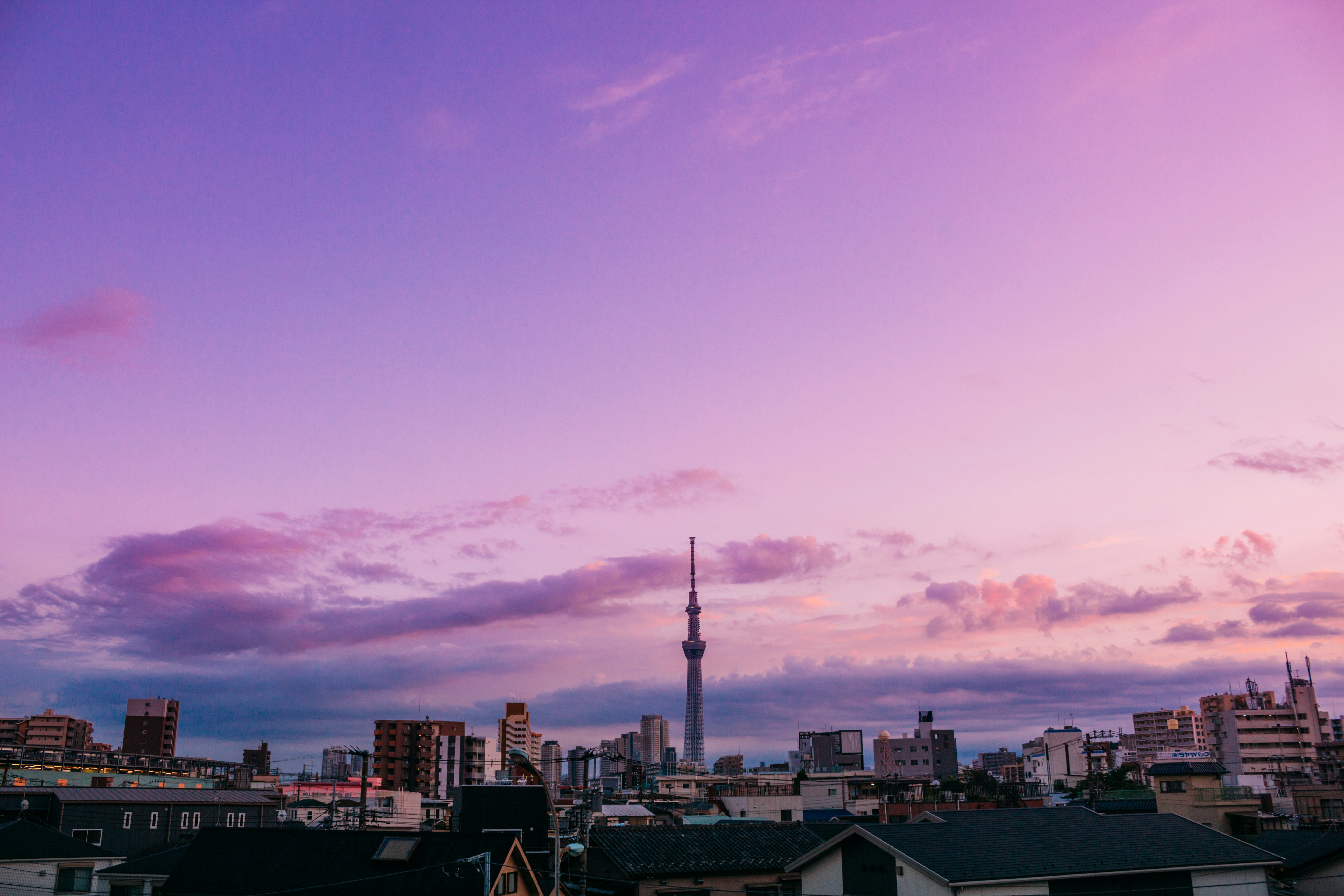 A Guide to Tokyo's Iconic Skyline: The Tokyo Tower and Tokyo Skytree