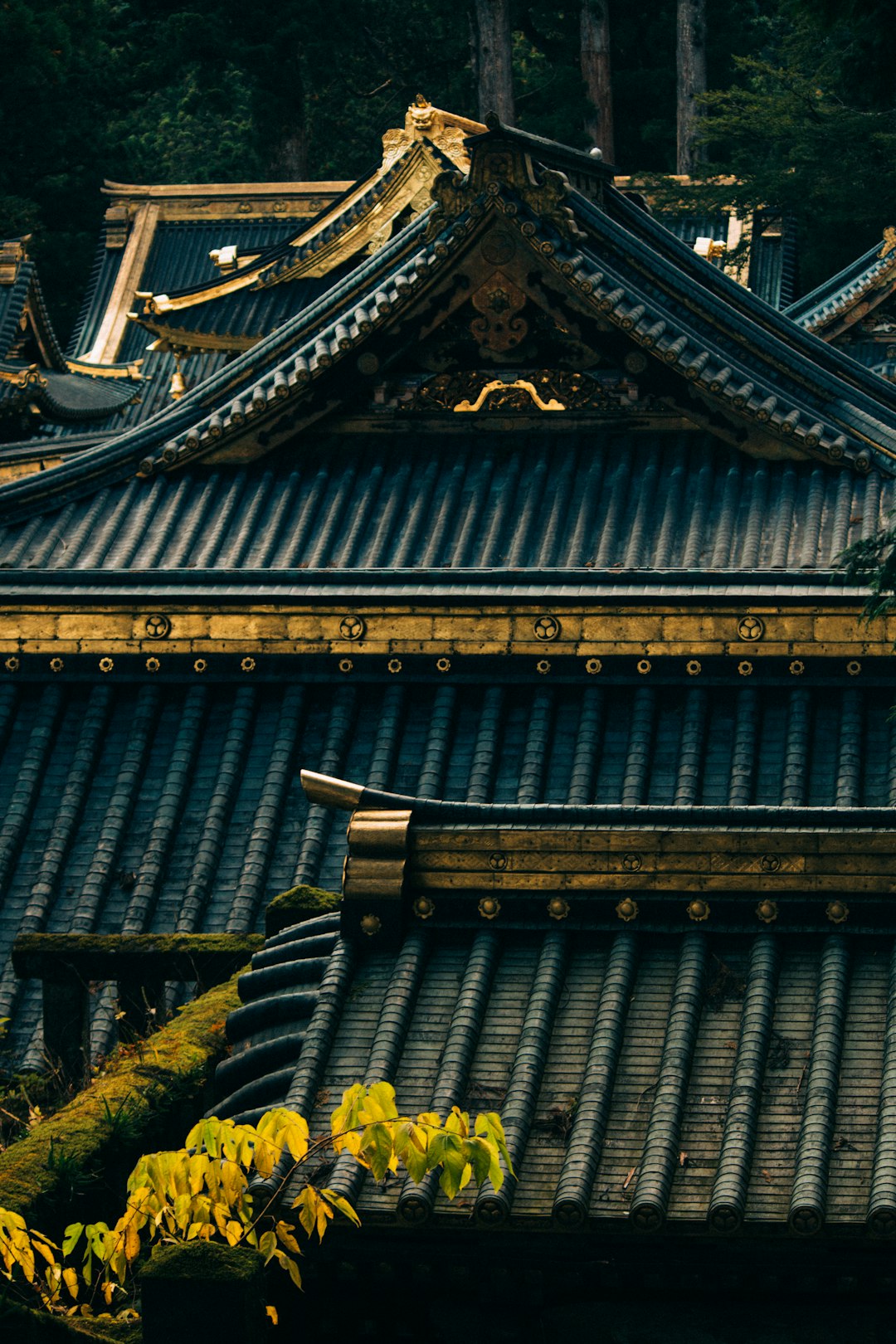 Temple photo spot Nikko Kinugawa Onsen